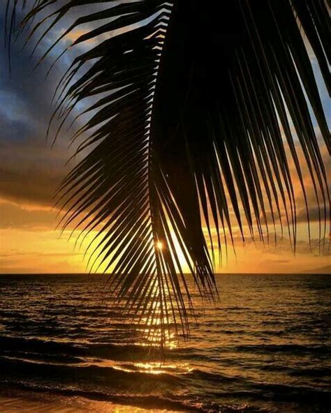 Sundown On Napili Beachawesome Napili Beach Sunset Summer Dream