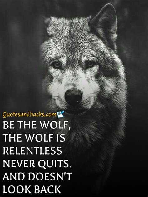 Wolves standing towards enemies is from main story chapter vi the sound of life! 30 Lone wolf quotes that will trigger your mind - Quotes ...
