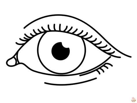 Eye Coloring Pages Printable And Free Coloring Sheets For Kids