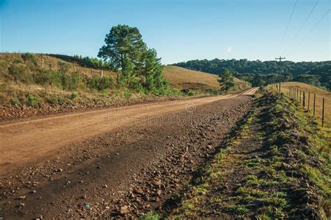Deserted Dirt Road Passing Through Rural Lowlands Stock Image Image