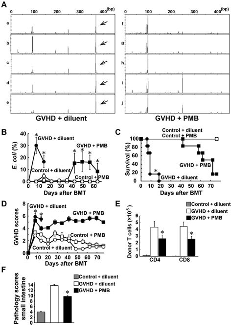 Oral Administration Of Polymyxin B Ameliorated Gvhd Lethally