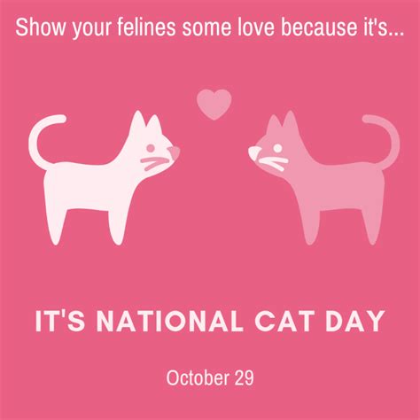 October 29 Is National Cat Day Orthodontic Blog