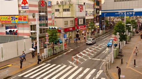 Bezoek Funabashi Het Beste Van Reizen Naar Funabashi Chiba In 2022