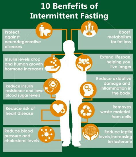 Intermittent Fasting My Experience Part 2 The Fitness Junction