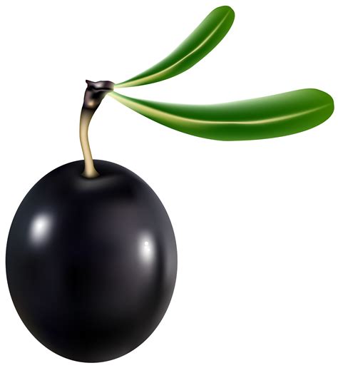 Olive Branch Flower Clip Art Olive Branch Png Download 699524 8d4