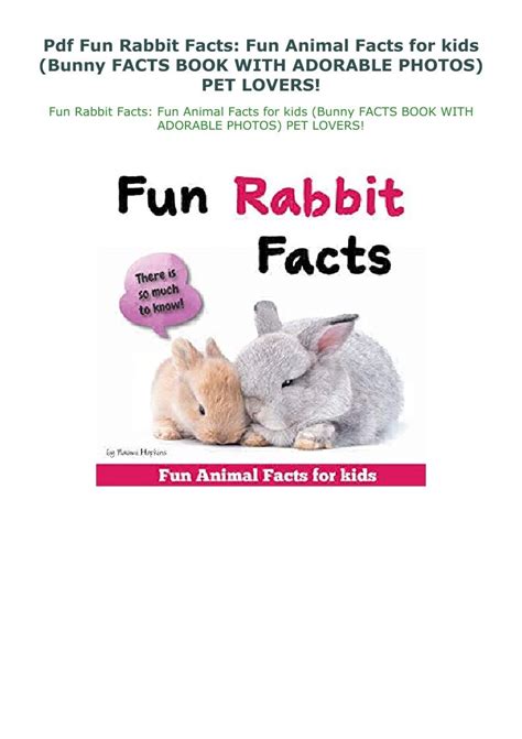 Pdf Fun Rabbit Facts Fun Animal Facts For Kids Bunny Facts Book