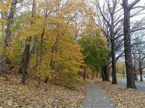 Abandoned by her mother, young ichiko leaves her life in the city to live off the land in komori, a small town nestled among the mountains in rural japan. Kew Gardens in Queens, New York: Neighborhood Profile