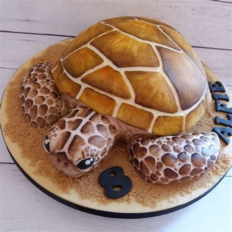 Turtle On Cake Tabitomo