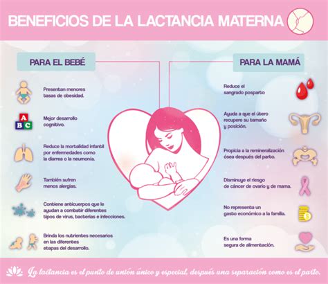 Tipos De Lactancia Materna