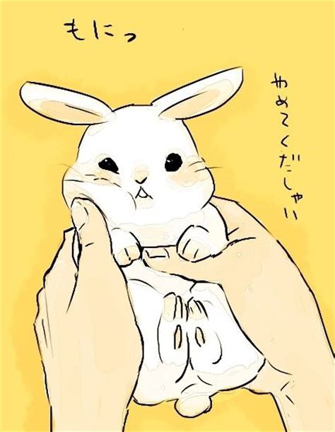 26 New Cute Anime Bunny Anime Wallpaper