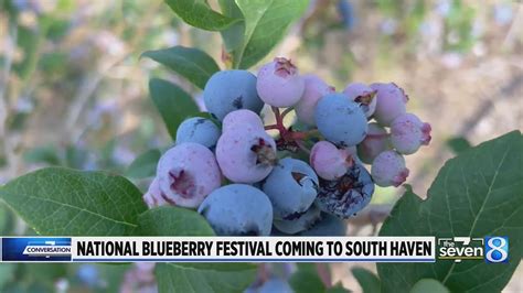 National Blueberry Festival Coming To South Haven Youtube