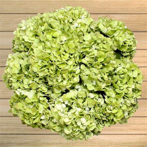 We did not find results for: 24-stem Hydrangeas | Costco flowers, Low wedding ...