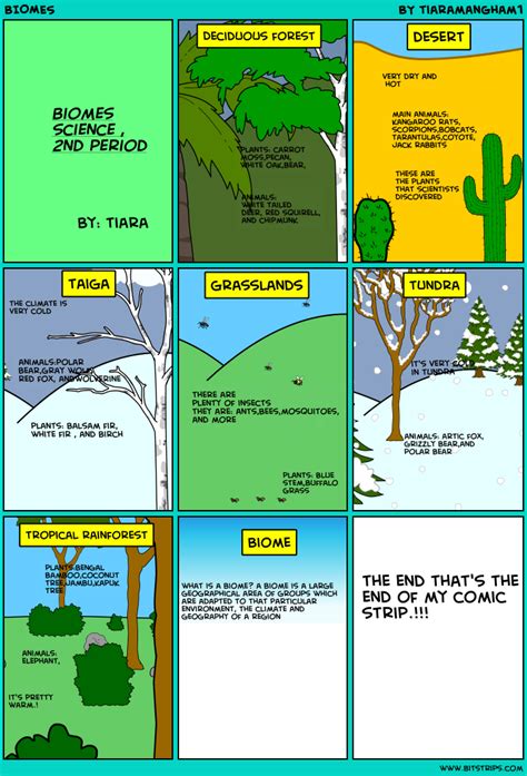 Forest Biome February 2016