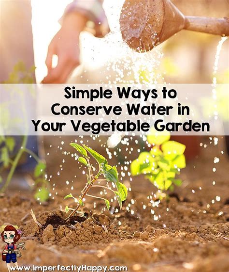 How To Conserve Water In Your Vegetable Garden Water Conservation Ways To Conserve Water