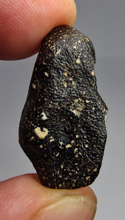 Meteorite Nwa 14131 Hed Eucrite 588 G 1 Catawiki