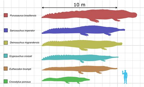 The Largest Prehistoric Animals