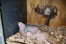 Truthfly i forgot to make the video. The Winchester Mystery House - San Jose, California ...