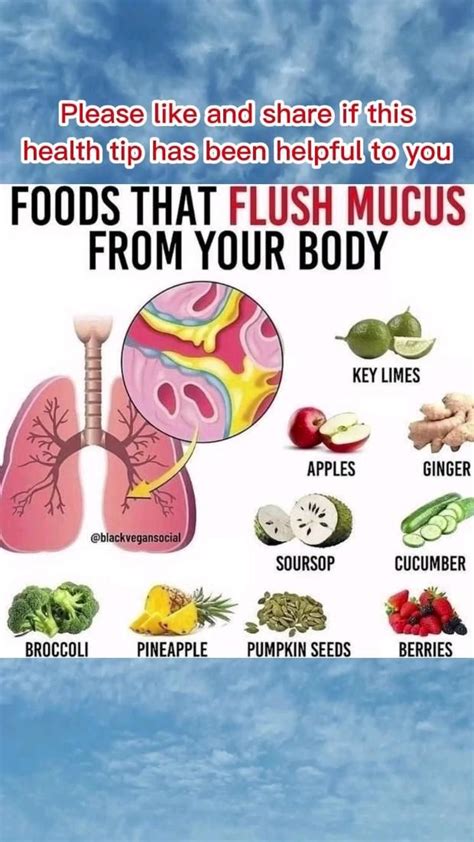 Foods That Flush Mucus From Your Body Food Health Benefits Mucus
