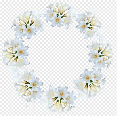 Osterlilien Blumen Weiß Belladonna Kranz Grenze Kreis Grußkarte