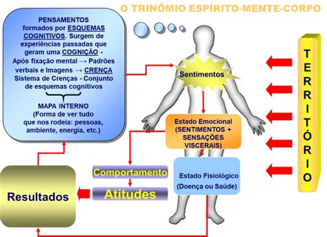 Você sabe como funciona a sua mente Instituto Brasileiro de Plenitude Humana