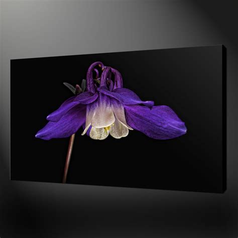 Beautiful Purple Flower Premium Canvas Print Picture Wall