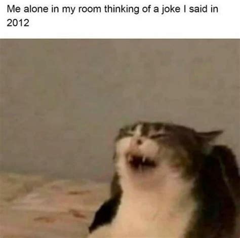 42 Absurd Memes And Funny Pics For Defeating Boredom Animal Memes