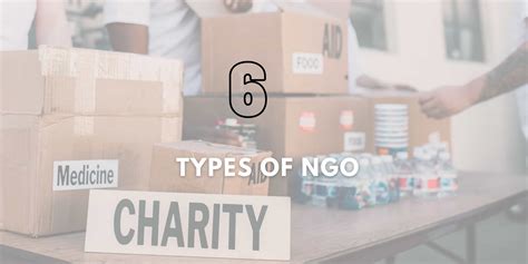 Types Of Ngo 6 Main Types Of Ngo