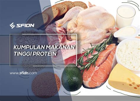 Ada banyak sekali fungsi protein. Kumpulan Makanan Tinggi Protein
