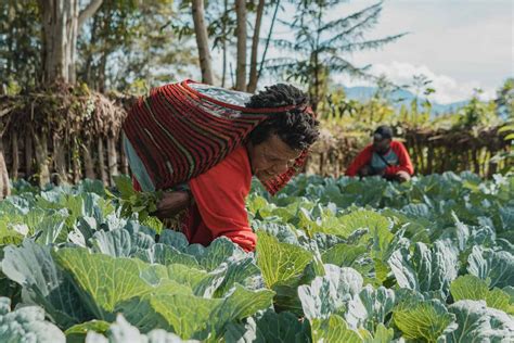 Inclusive Agriculture Markets Portray Stories