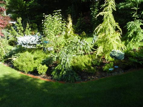 Each different garden is bursting with extravagant beauty, whether it be a grove of cherry trees, asian shade trees, a conifer garden or the beautiful colors of the summer garden; conifer garden | Conifers garden, Japanese garden, Conifers