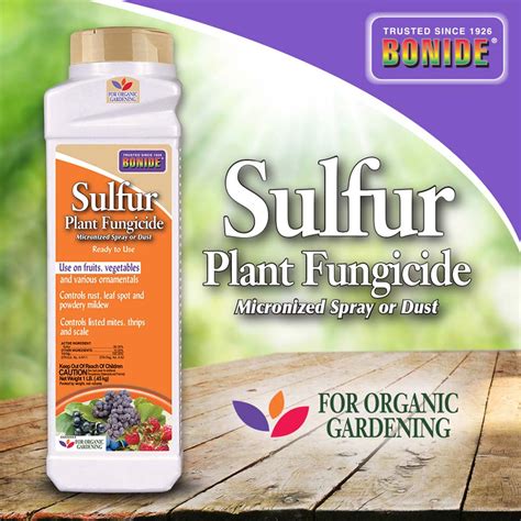 Sulfur Plant Fungicide Dust 1 Lb