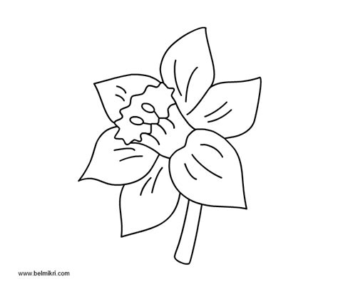Printable coloring pages, dot the dot