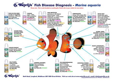 A helpful chart for diagnosing #fish #illness #aquarium | Saltwater