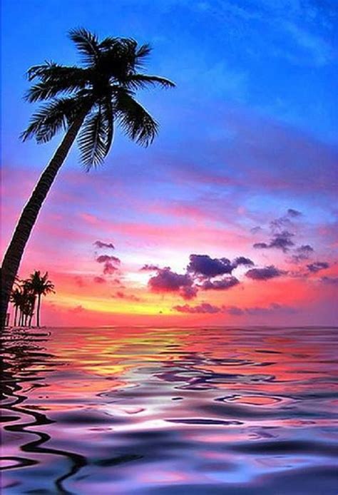 A Beautiful Serene Hawaiian Photo Love This Beach And
