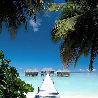 Tropical Maldives Wallpapers Resort Lagoon Beach Island