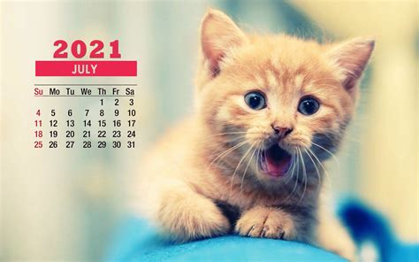 July 2021 Calendar Cute Cat Wallpaper 72254 Baltana