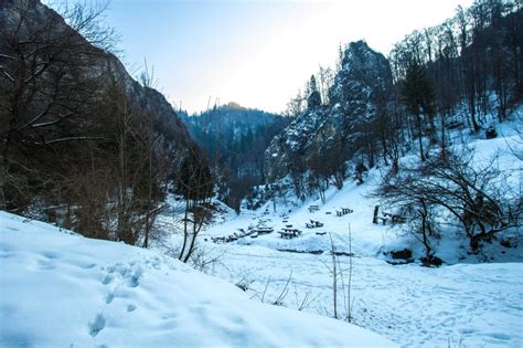 Free Picture Snow Winter Cold Mountain Wood Tree Landscape