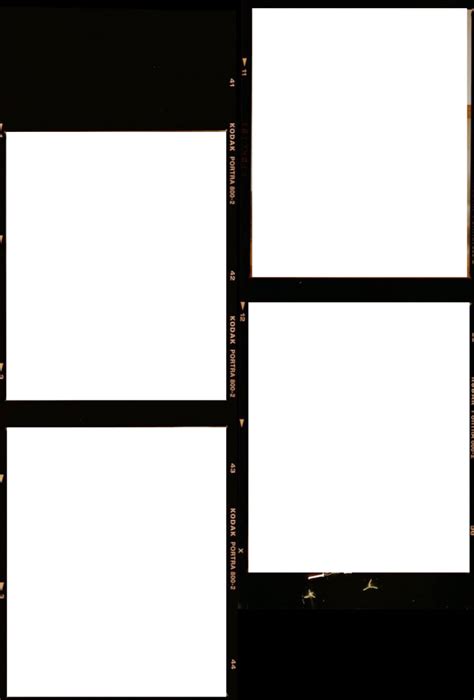 Aesthetic Frame PNG Clipart | PNG Mart