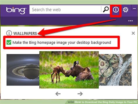 How To Download The Bing Daily Image To Your Pc 11 Steps