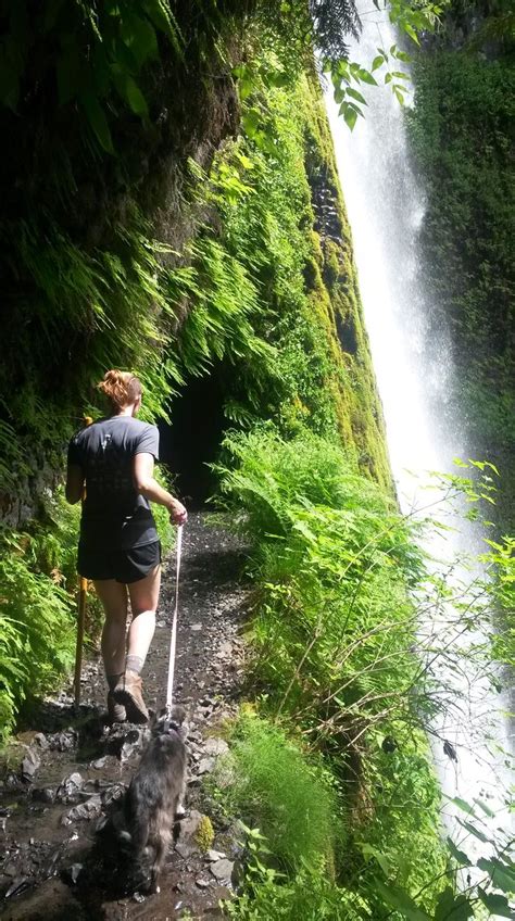 Eagle Creek Trail Hiking To Lower Punchbowl And Tunnel Falls Oregon