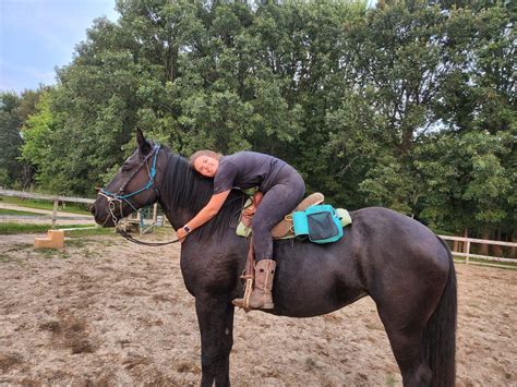 Now Sold!!! Meet FFF Dark Secret AKA Big Jo – Shire Sport Horse mare IN