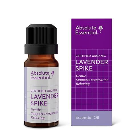 lavender spike essential oil absolute essential