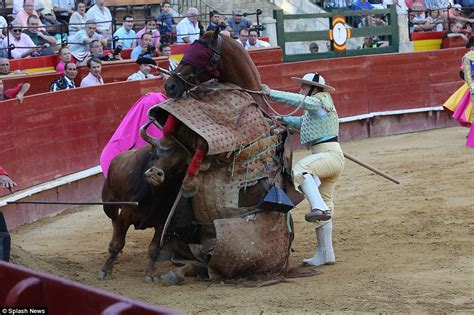 西班牙愤怒公牛顶伤斗牛士坐骑酿惨剧博览环球网