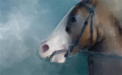 Horse Of Course By Jonaseklundh On Deviantart