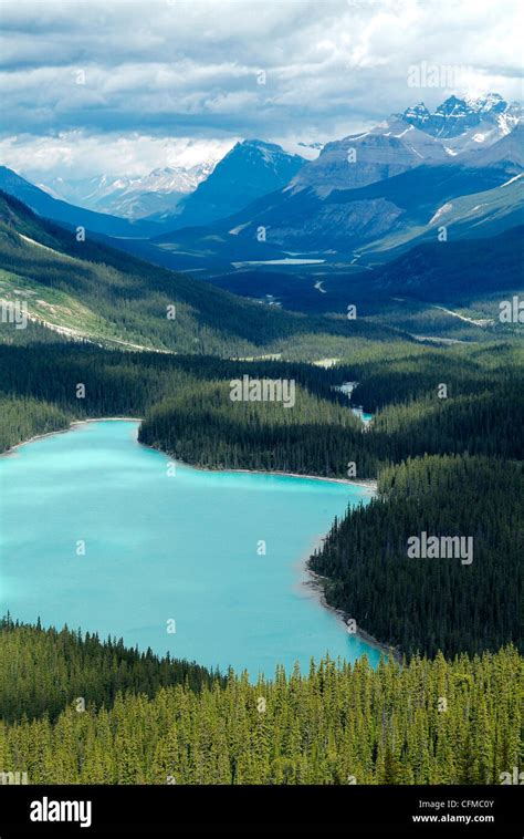 Peyto Lake Banff National Park Unesco World Heritage Site Alberta