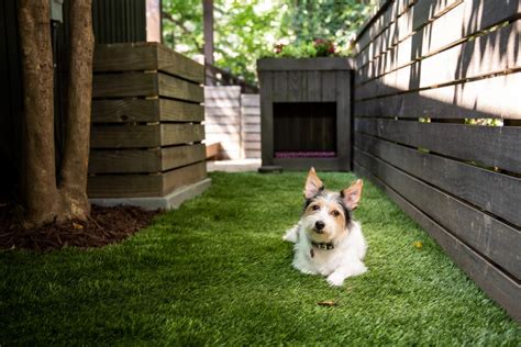 Check spelling or type a new query. How to Build a Dog Run | HGTV in 2020 | Backyard dog area ...