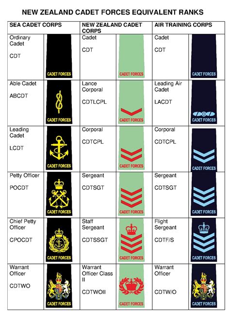 Like the navy, army, and marine corps, the air force categorizes enlisted personnel as e grades. File:NZCF Ranks Chart.pdf - Wikipedia