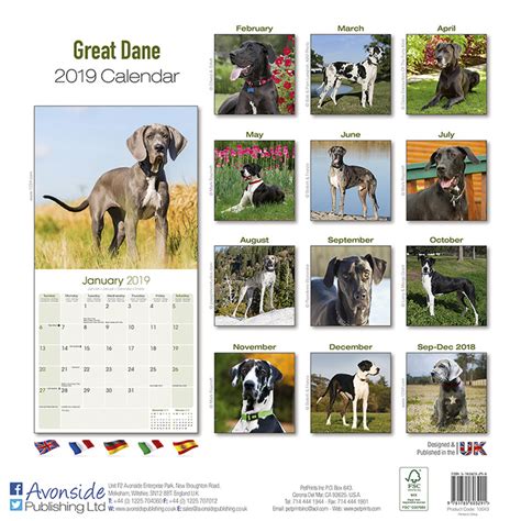 Eurovision song contest 2021 will be held in rotterdam, the netherlands in may 2021, after eurovision 2020 was cancelled due to coronavirus. Great Dane (Euro) - Calendars 2021 on UKposters/EuroPosters