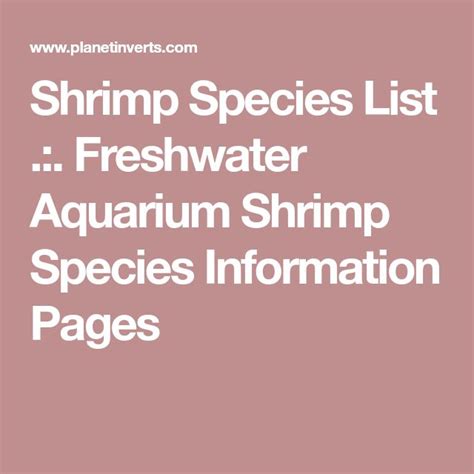 Shrimp Species List Freshwater Aquarium Shrimp Species Information