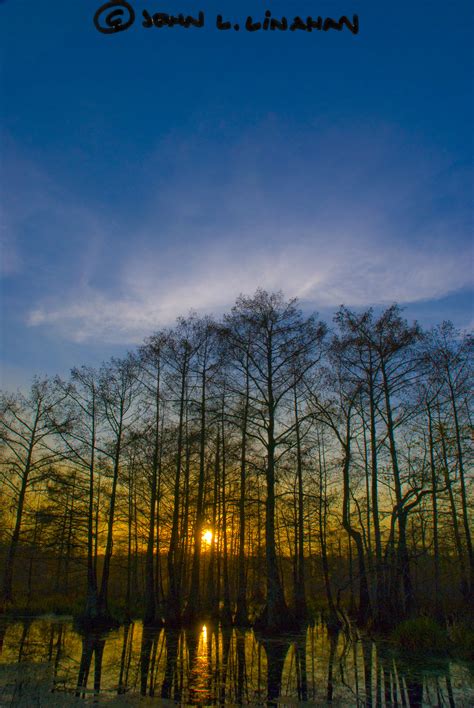 Elevation of Lafayette, LA, USA - Topographic Map - Altitude Map